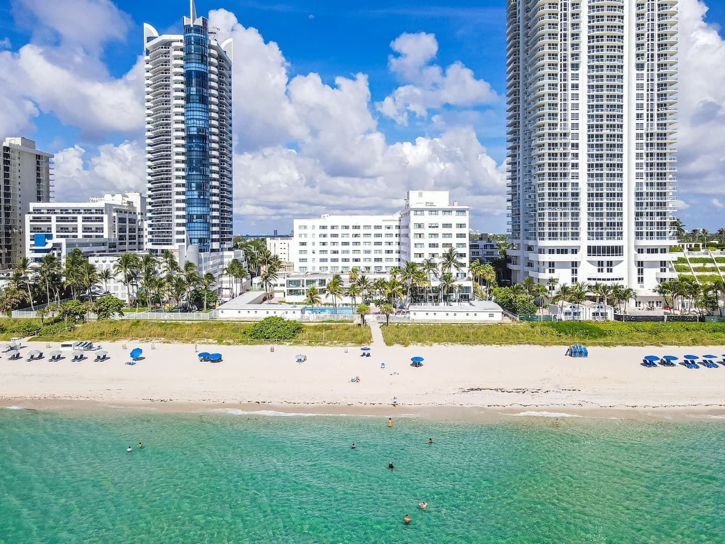 Beachfront towers on the shoreline